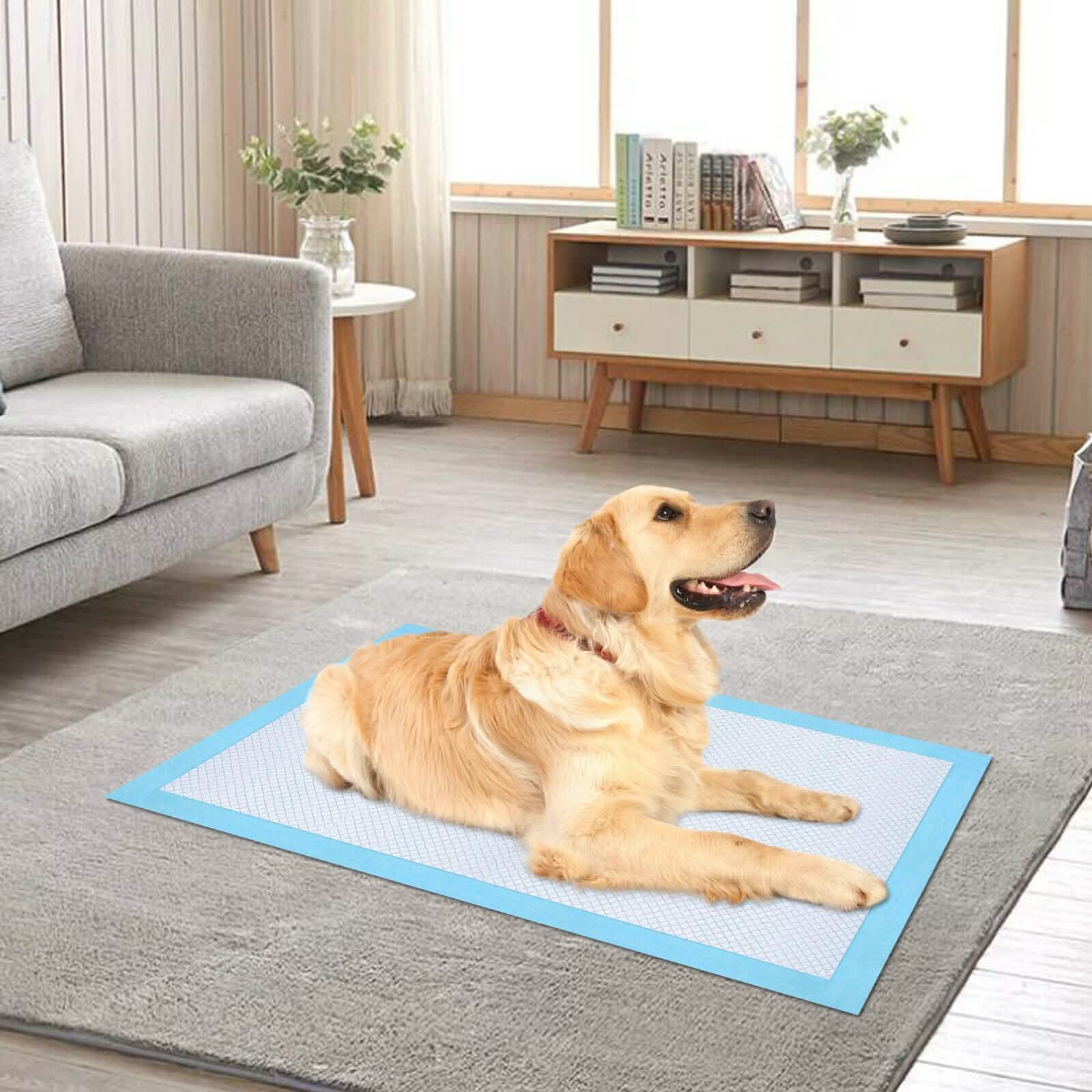 30-Piece: Ownpets Pet Dog Training Pads